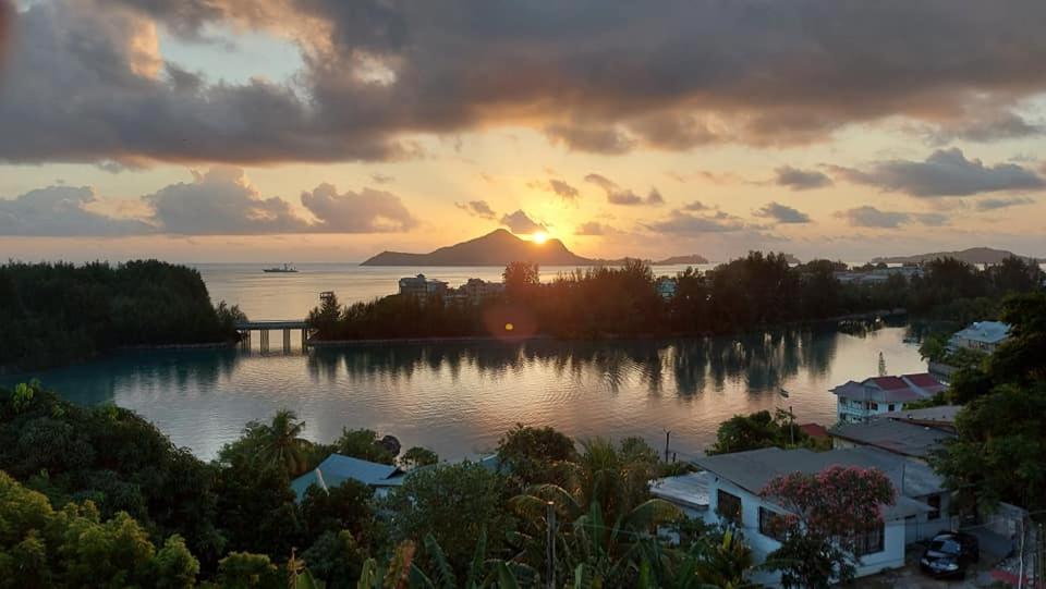 Апартаменты Hibiscus House Seychelles Self Catering Виктория Экстерьер фото