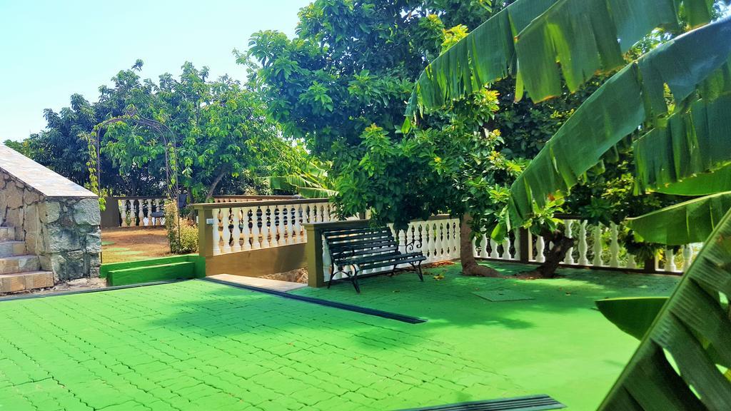 Апартаменты Hibiscus House Seychelles Self Catering Виктория Экстерьер фото