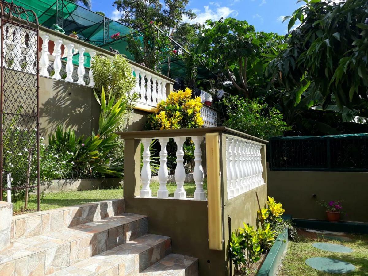 Апартаменты Hibiscus House Seychelles Self Catering Виктория Экстерьер фото